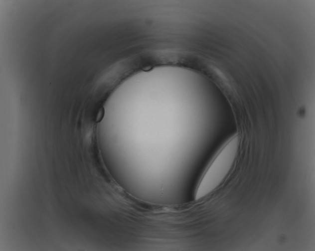 X0000093380125200710111355