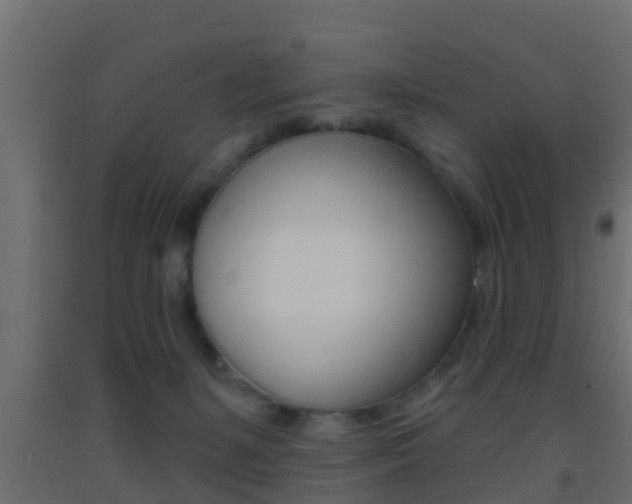X0000093380127200710111355