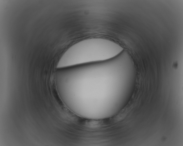 X0000093380129200710111355
