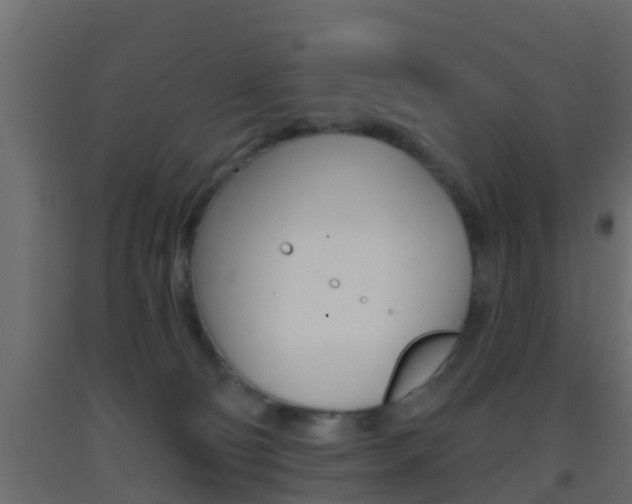 X0000093380130200710111355