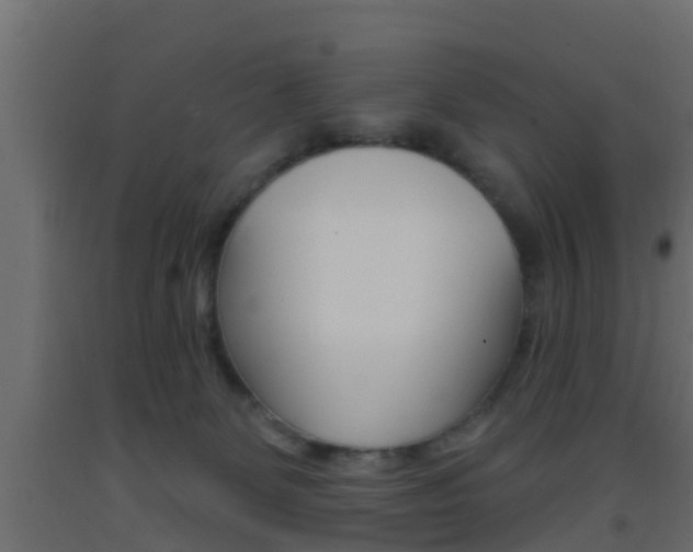 X0000093380131200710111355