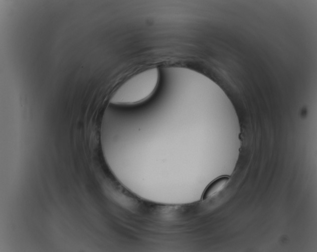 X0000093380136200710111355