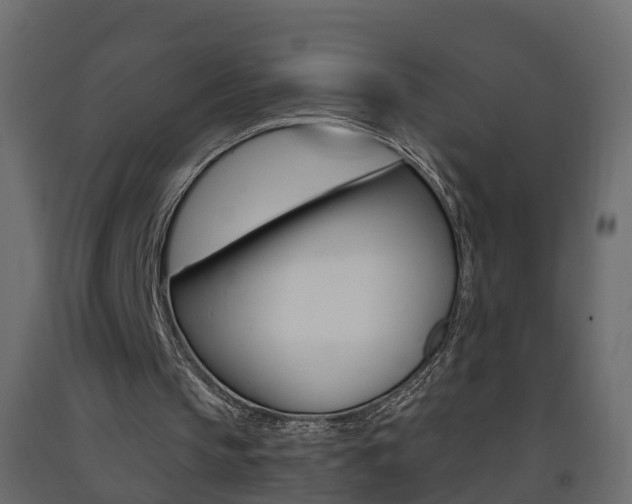 X0000093380145200710111354