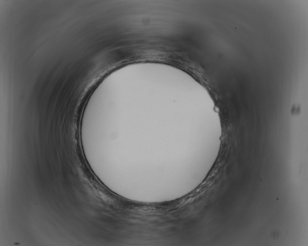 X0000093380146200710111354