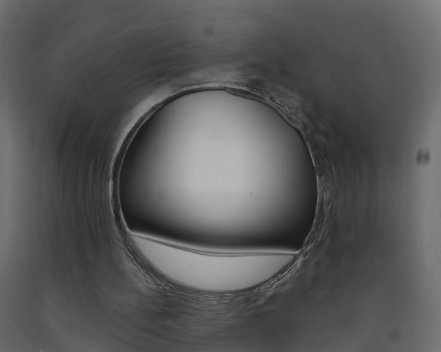 X0000093380148200710111354