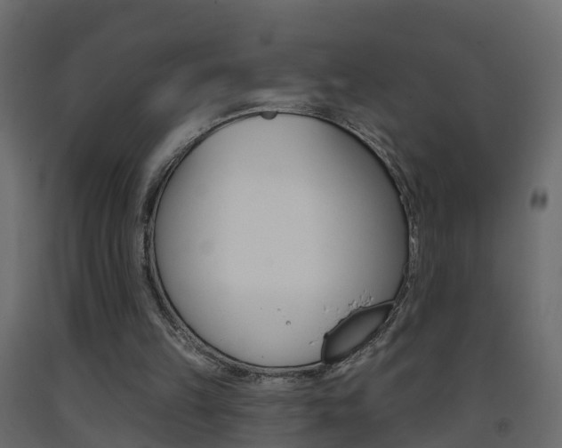 X0000093380149200710111354