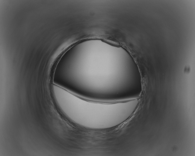 X0000093380150200710111354