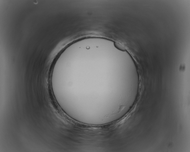 X0000093380151200710111354