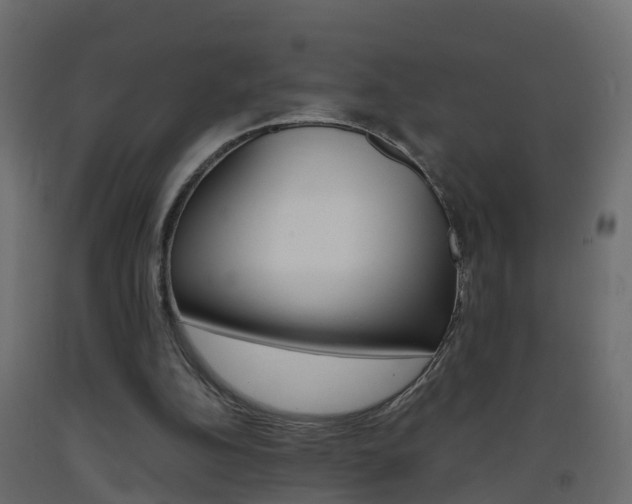 X0000093380152200710111354