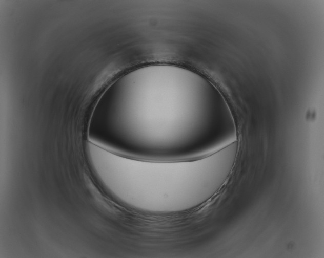X0000093380154200710111354
