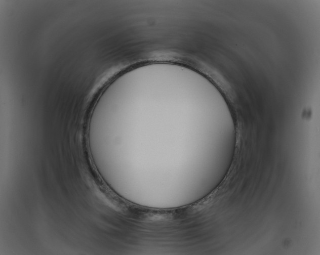 X0000093380155200710111354