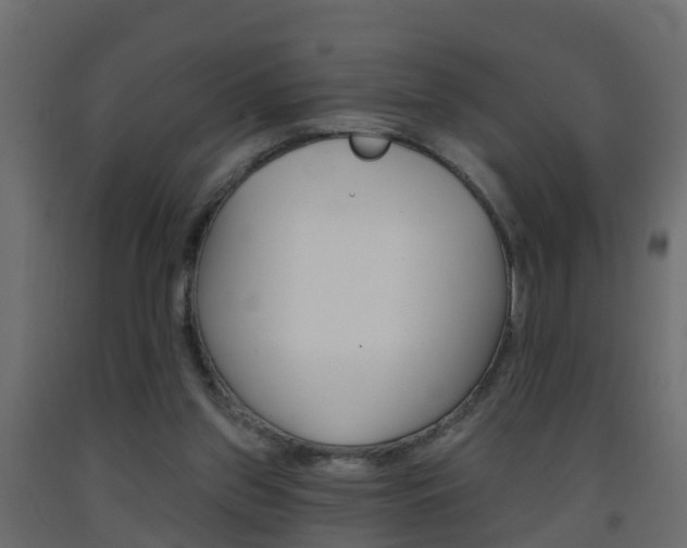 X0000093380157200710111354