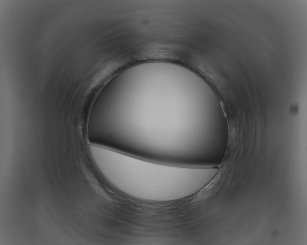 X0000093380158200710111354