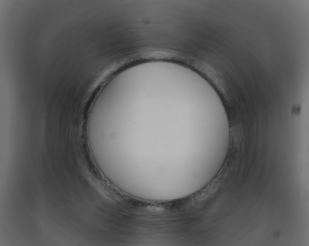 X0000093380159200710111354