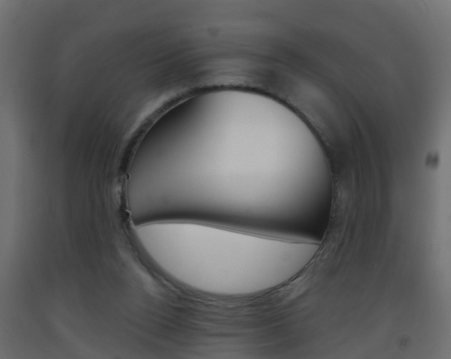 X0000093380160200710111354
