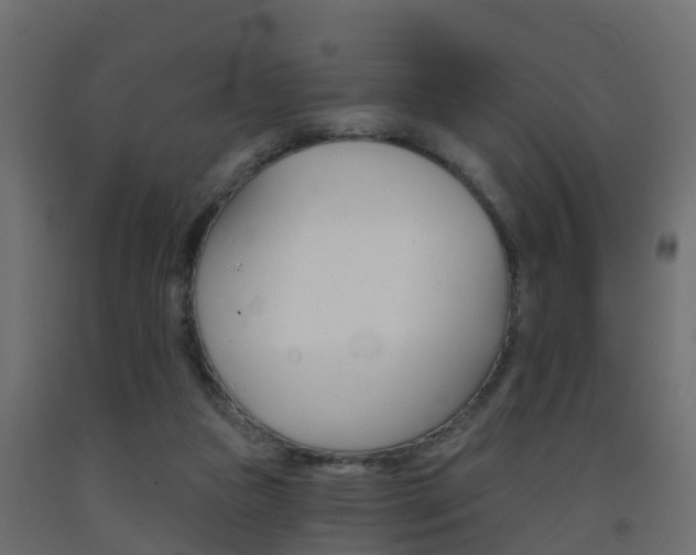 X0000093380161200710111354