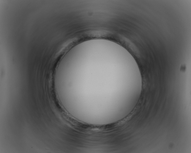 X0000093380163200710111354