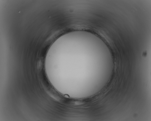 X0000093380165200710111354