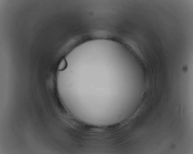 X0000093380167200710111354