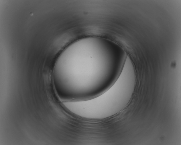 X0000093380168200710111354