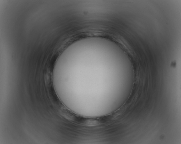 X0000093380169200710111354