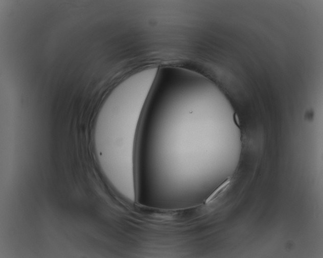 X0000093380170200710111354