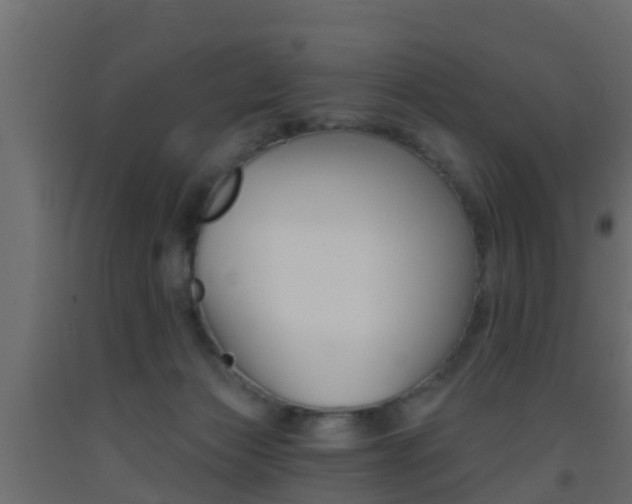 X0000093380173200710111354