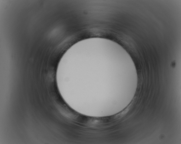 X0000093380174200710111354