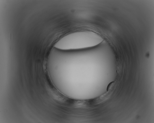 X0000093380175200710111354