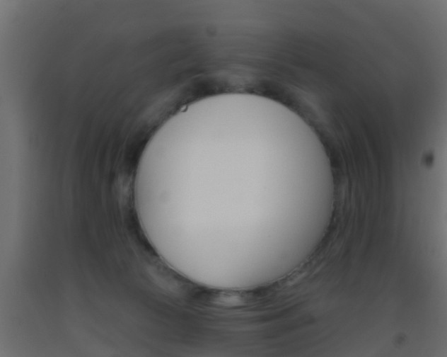 X0000093380177200710111354