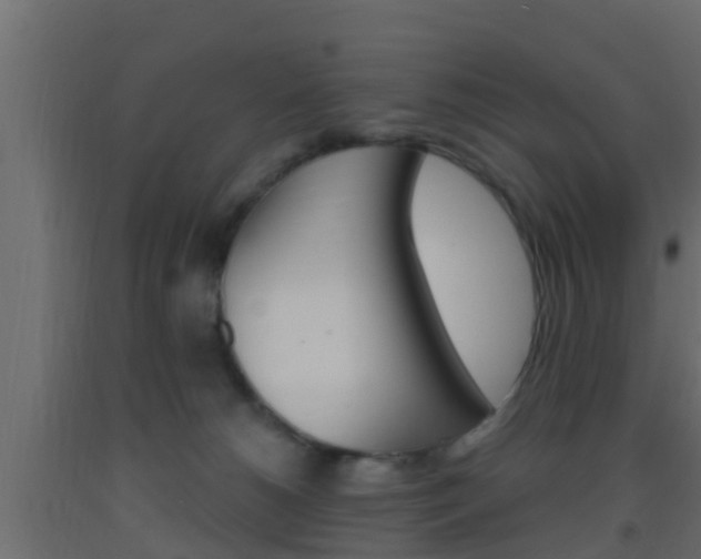 X0000093380180200710111354