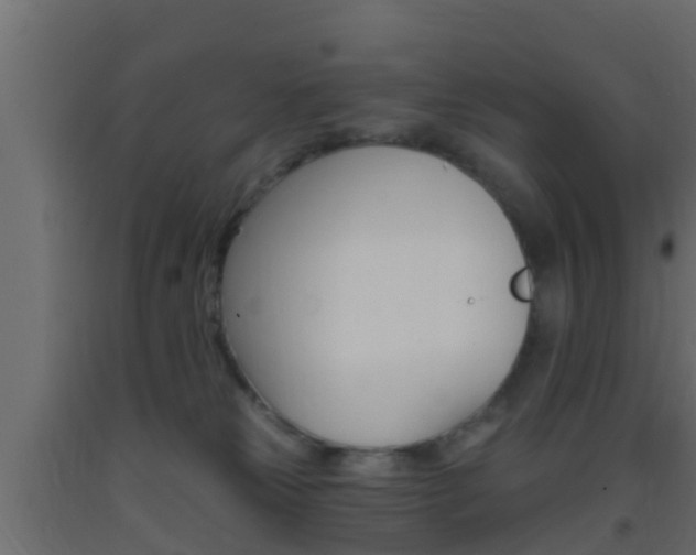 X0000093380181200710111354