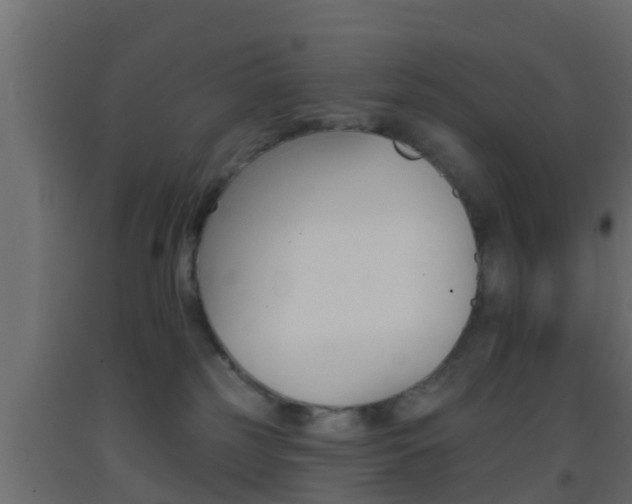 X0000093380185200710111354