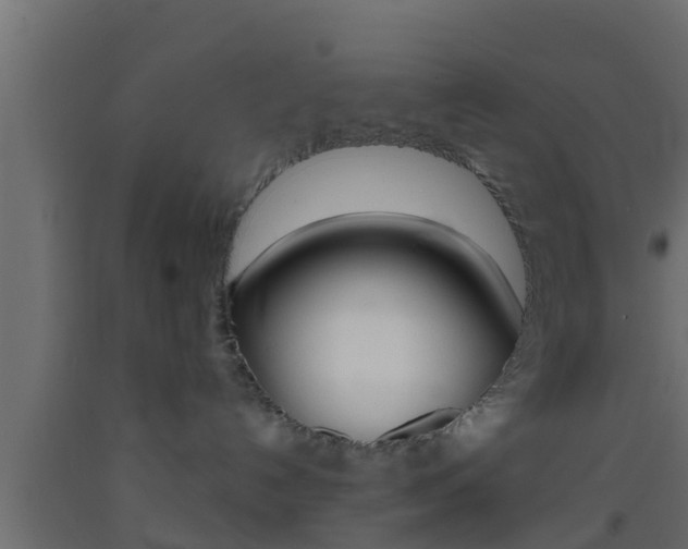 X0000093380192200710111355