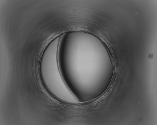 X0000093380193200710111354