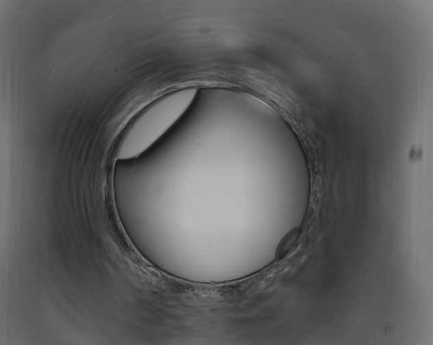 X0000093380194200710111354