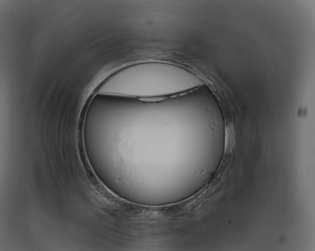X0000093380195200710111354