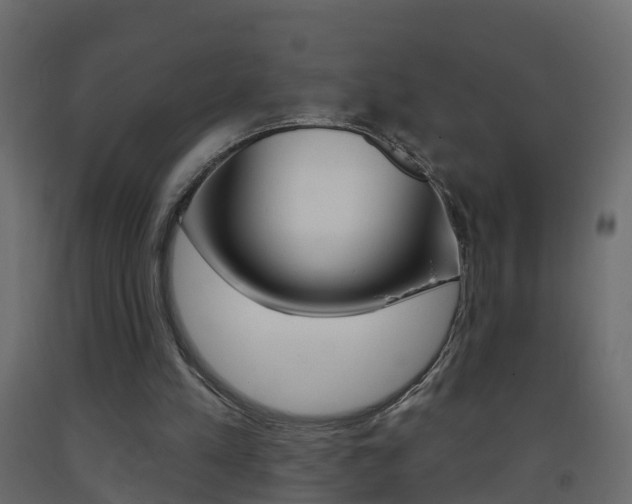 X0000093380197200710111354