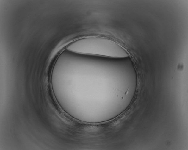 X0000093380198200710111354
