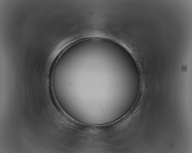 X0000093380199200710111354