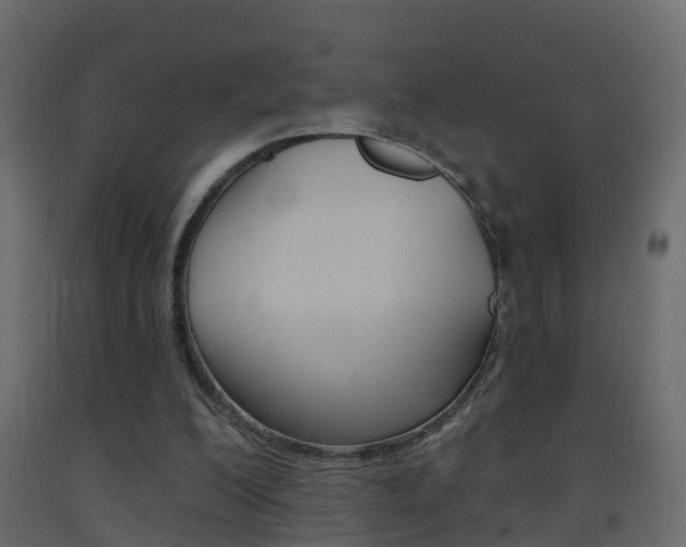 X0000093380200200710111354
