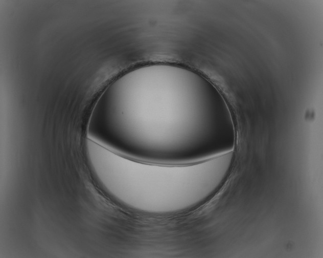 X0000093380201200710111354