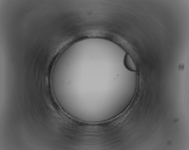 X0000093380202200710111354
