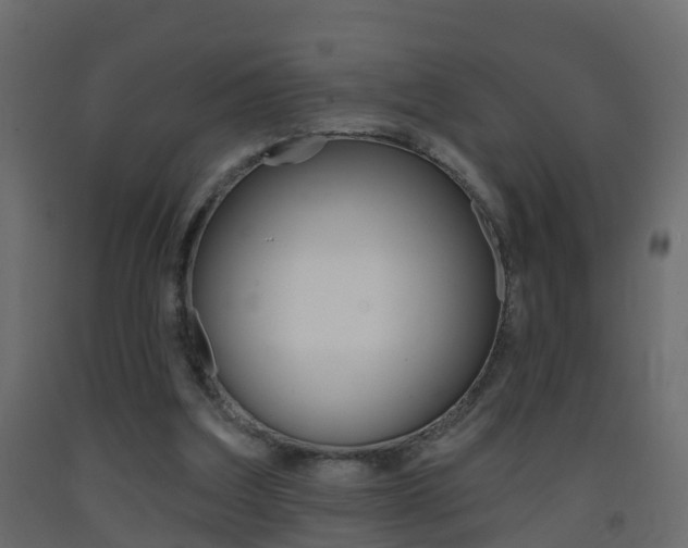X0000093380203200710111354