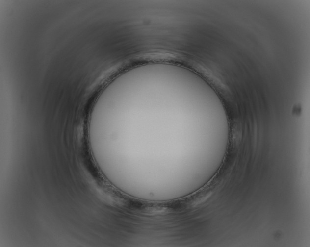 X0000093380206200710111354