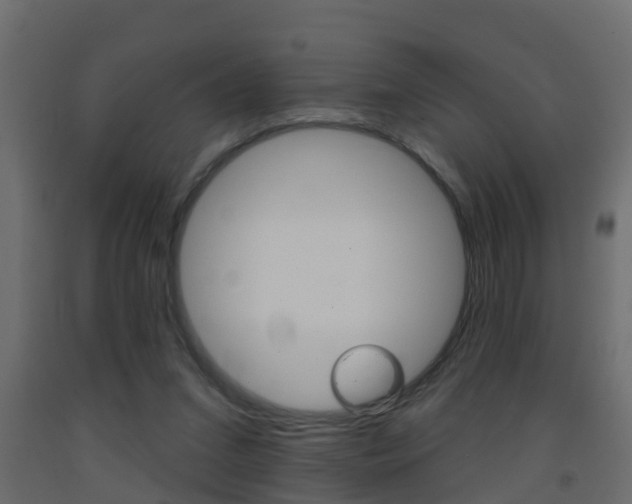 X0000093380207200710111354
