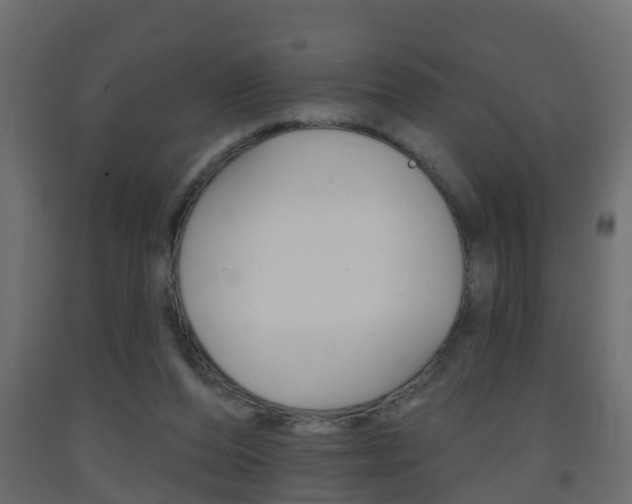 X0000093380208200710111354
