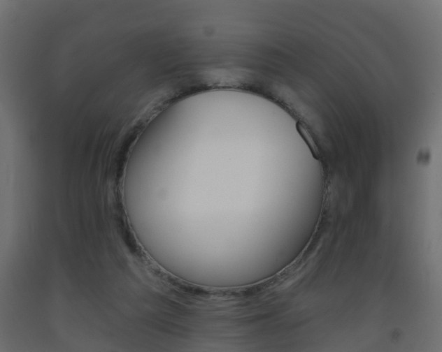 X0000093380209200710111354