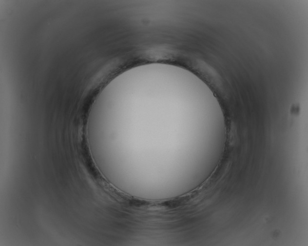 X0000093380210200710111354
