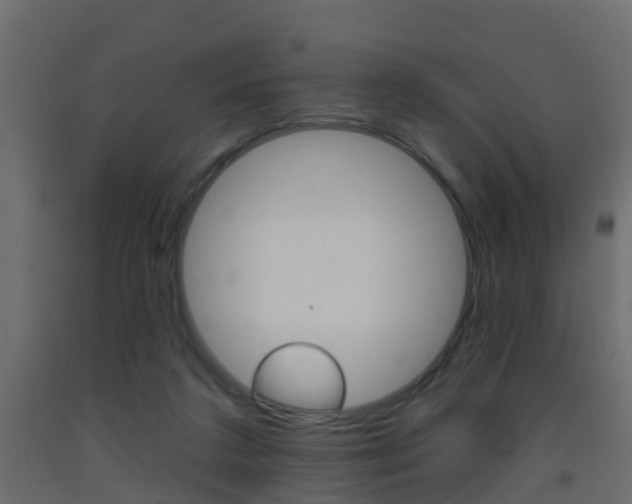 X0000093380211200710111354